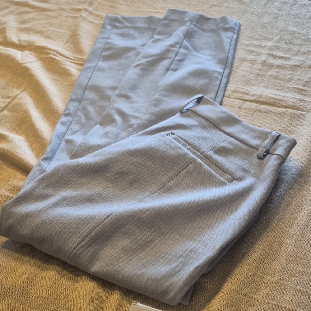 Express Gray Columnist Pants